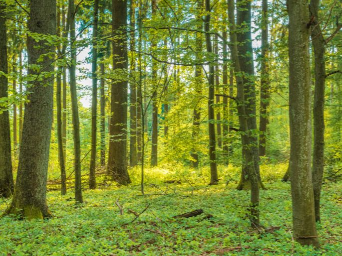 Climate change and the commercial sector